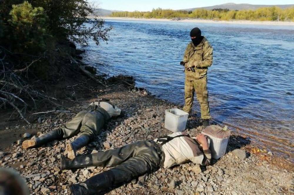 Задержанные на севере Хабкрая браконьеры наловили рыбы на 3 млн рублей