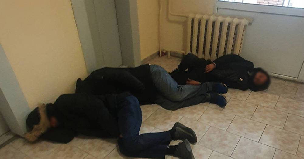 Россиянка пожаловалась на бездомных в подъезде и получила совет