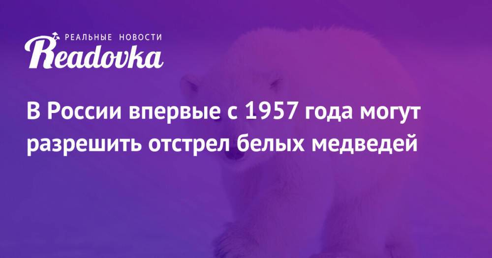 В России впервые с 1957 года могут разрешить отстрел белых медведей
