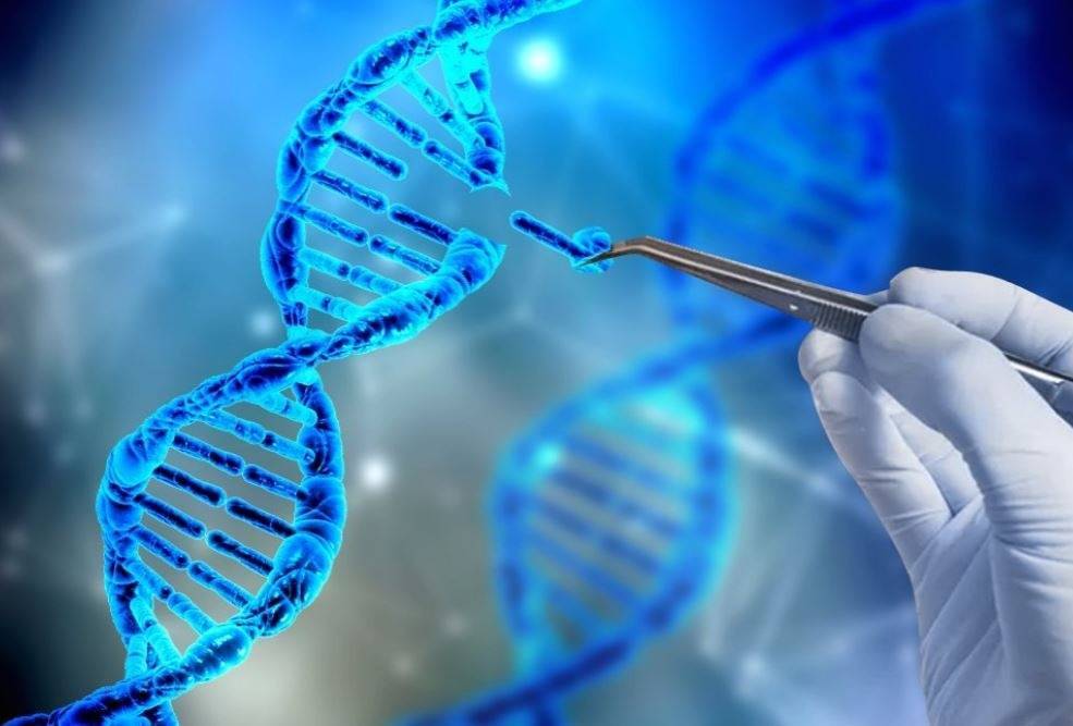 В ТюмГУ создадут передовой центр генетических технологий