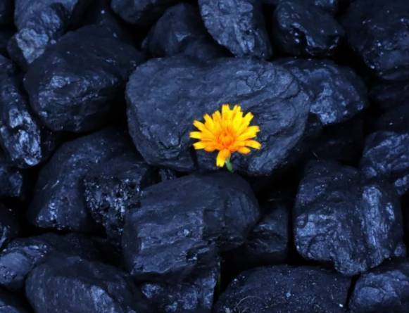 Чубайс: полный отказ от угля - безумие, но смысла в новых угольных ТЭЦ нет