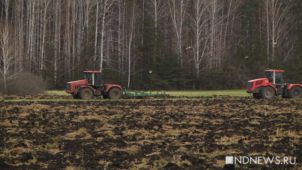 «Сожженная пестицидами почва восстанавливается сотню лет»: уральские ученые рассказали о рисках приминения химикатов