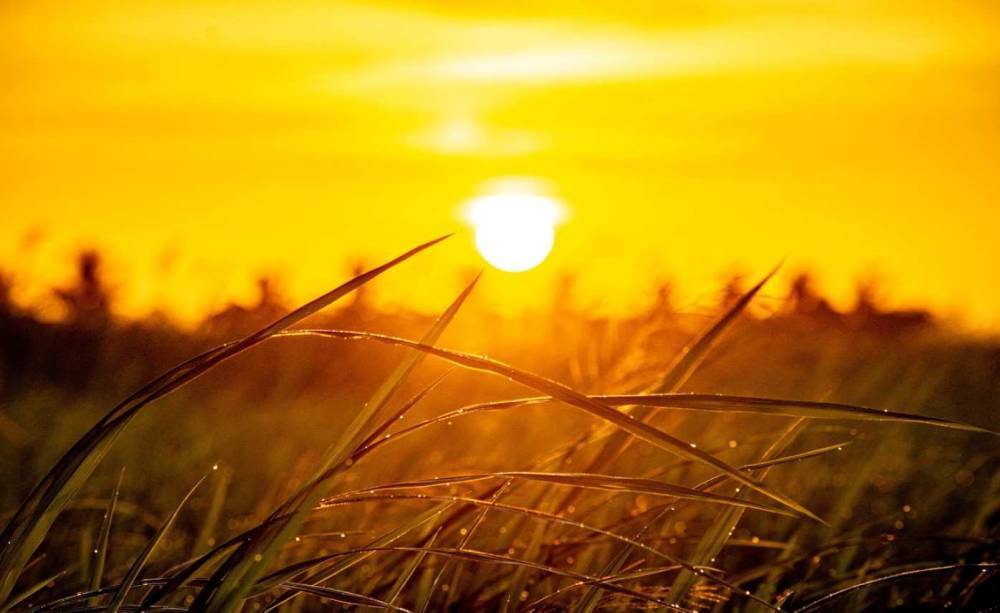 Радиоастрономы из Великобритании раскрыли настоящий цвет Солнца