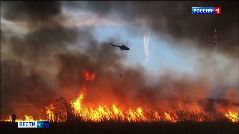 С начала года в результате ландшафтных пожаров на Дону пострадало более 12 га земли
