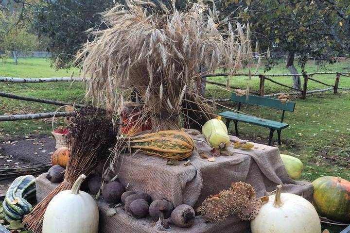В «Михайловском» откроется традиционная выставка урожая