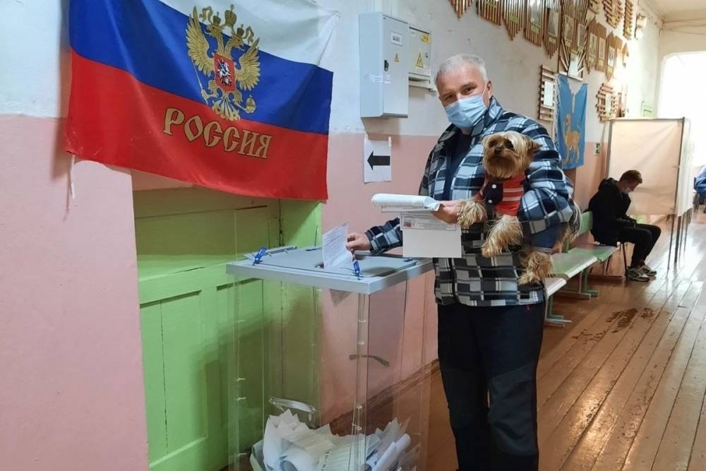 «Любопытные» камеры и давление на избирателей: нарушения на выборах-2021 в Псковской области