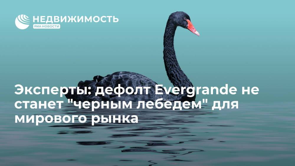 Эксперты: дефолт Evergrande не станет "черным лебедем" для глобального рынка жилья