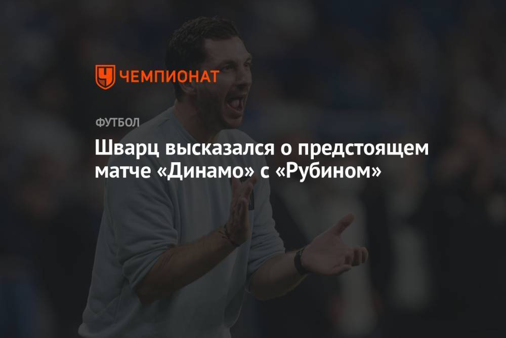 Шварц высказался о предстоящем матче «Динамо» с «Рубином»