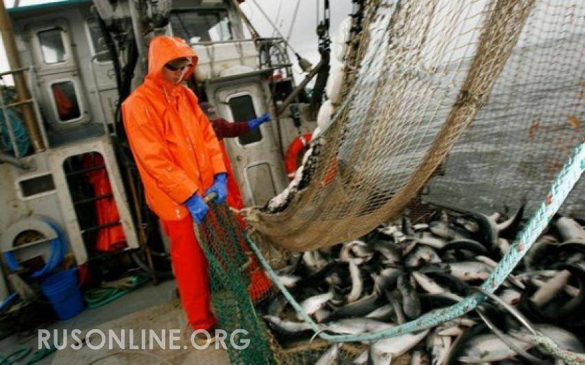 Норвежские рыбаки обратились к новому правительству с необычной просьбой на счет России