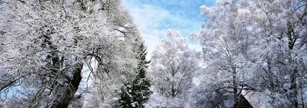 Какой будет зима в Беларуси, рассказали ученые