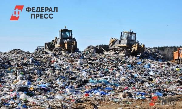В Архангельской области почти 600 несанкционированных свалок