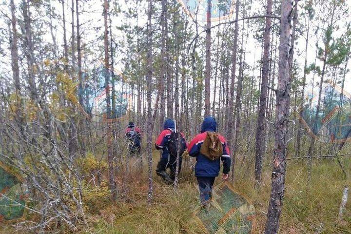 Пропавшего 81-летнего мужчину нашли мертвым в лесу под Кировском