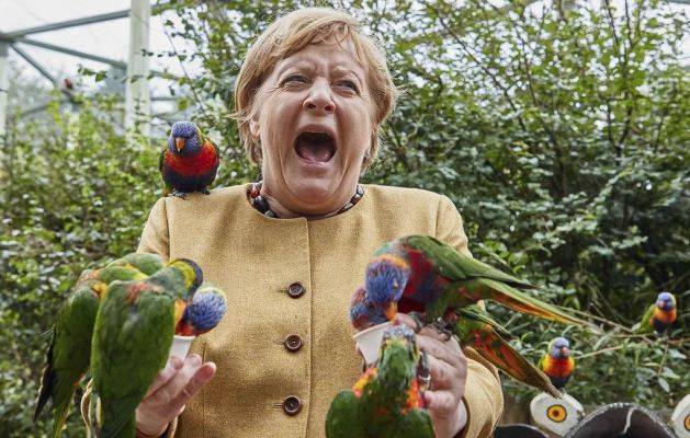 На прощанье: Ангелу Меркель больно клюнул попугай
