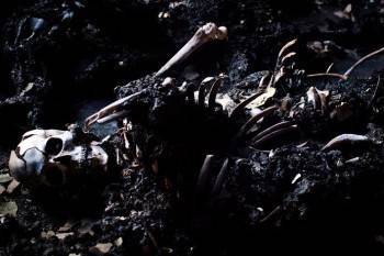 Обгорелый труп беспробудного пьяницы найден на пепелище дома в Вологодской области