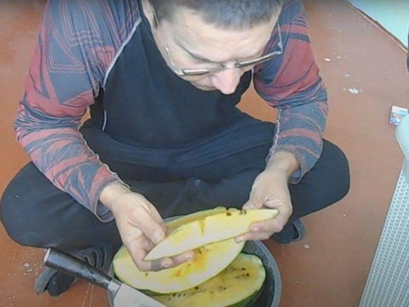 Дезинфектор отравил арбуз средством от тараканов и съел его, чтобы доказать невиновность коллеги из Москвы