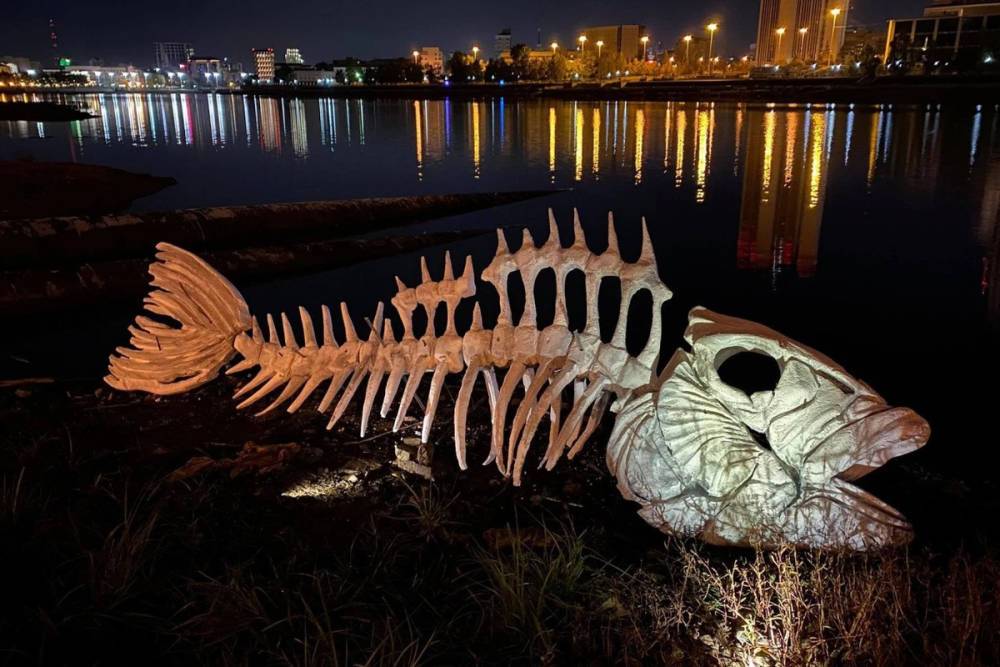 Скелет гигантской рыбы найден на берегу пруда в Екатеринбурге