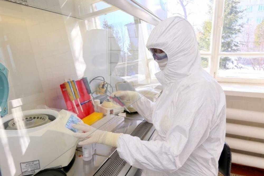 Число подтвержденных случаев коронавируса за сутки возросло на 22 041