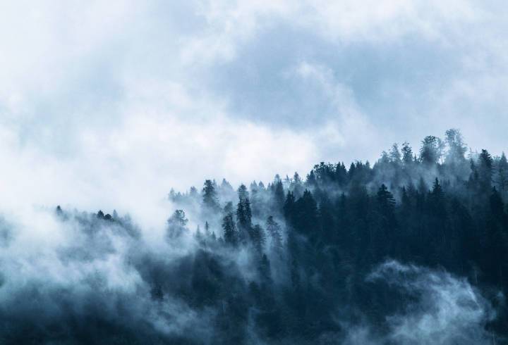 МЧС предупредило о тумане в Ленобласти 27 и 28 сентября