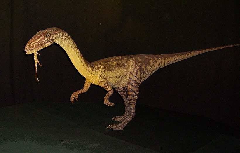 Science Advances: Учёные воссоздали движение динозавра благодаря 3D-моделированию