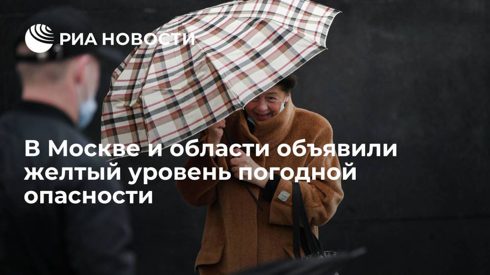 В Москве и области объявили желтый уровень погодной опасности из-за ветра