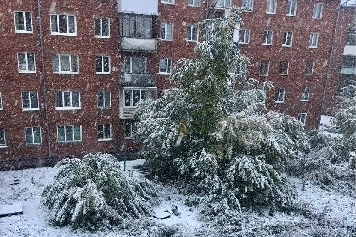 Первый снег выпал в регионах Сибири: ДТП, падение деревьев и укладка асфальта
