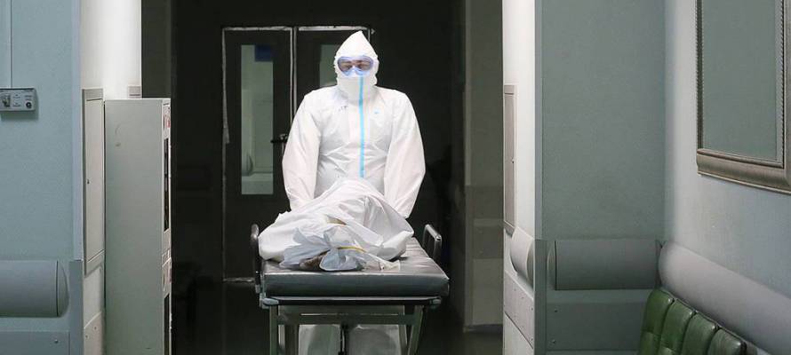 За время пандемии в России от коронавируса умерло 203 900 человек