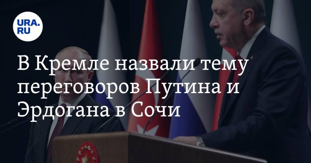 В Кремле назвали тему переговоров Путина и Эрдогана в Сочи