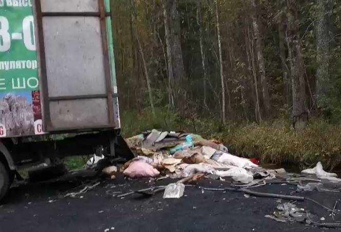 Рабочих поймали за сбрасыванием мусора в природоохранной зоне Ленобласти – видео