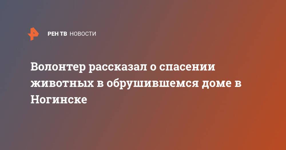 Волонтер рассказал о спасении животных в обрушившемся доме в Ногинске