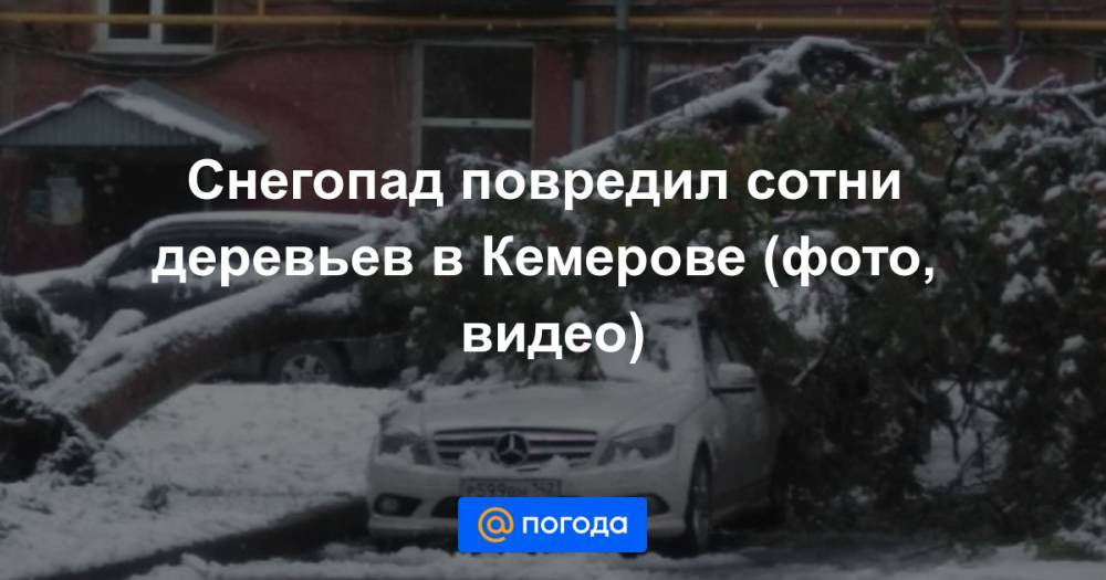Снегопад повредил сотни деревьев в Кемерово (фото, видео)