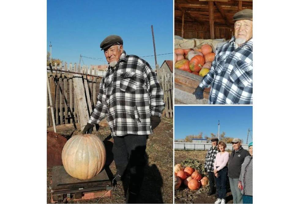 92-летний дедушка из Башкирии вырастил гигантскую тыкву