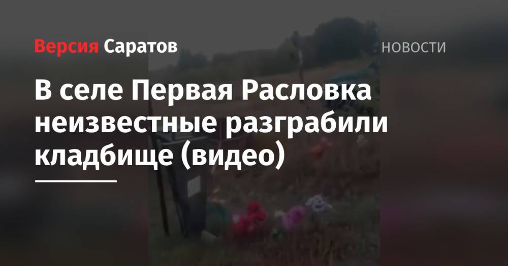 В селе Первая Расловка неизвестные разграбили кладбище (видео)