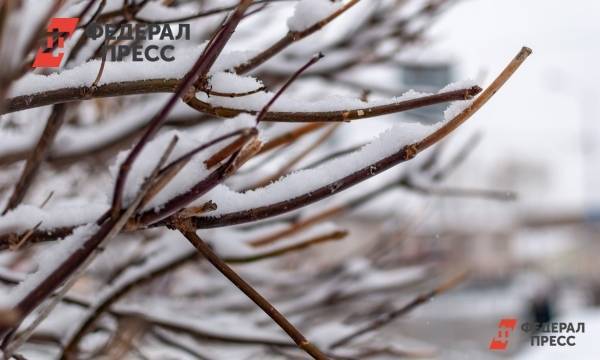 В Челябинской области ожидается дождь, снег и гололед