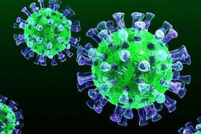 ВОЗ намерена возобновить расследование о происхождении коронавируса