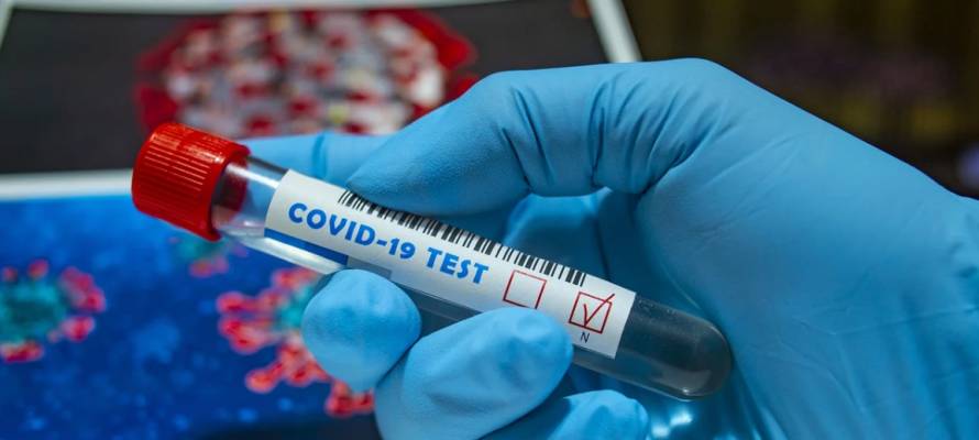 В России за время пандемии было проведено более 190 миллионов тестов на коронавирус