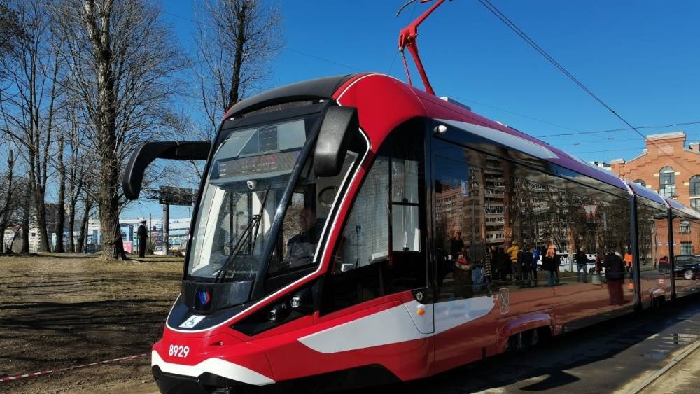 Власти Петербурга планируют закупить 255 новых трамваев к 2024 году