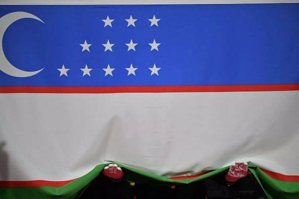 Кто возглавит миссию наблюдателей от СНГ на выборах президента Узбекистана