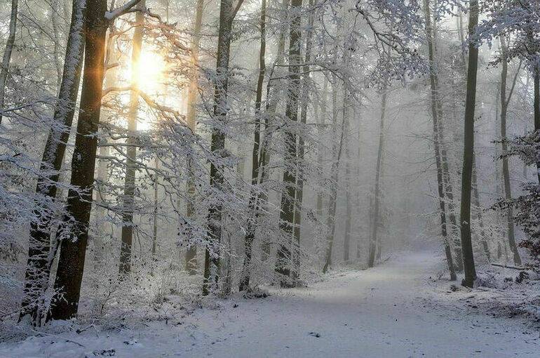 В Росгидромете спрогнозировали тёплую зиму в ряде регионов страны
