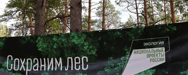 Новосибирские таможенники приняли участие в акции «Сохраним лес»