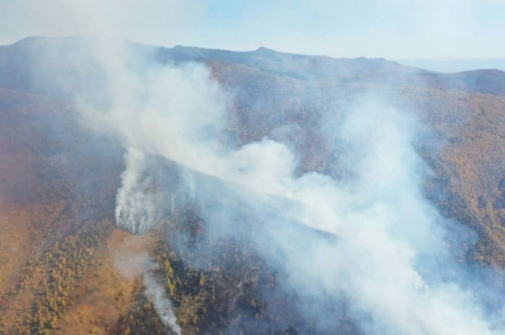 В Хабаровском крае четвертые сутки тушат лесной пожар