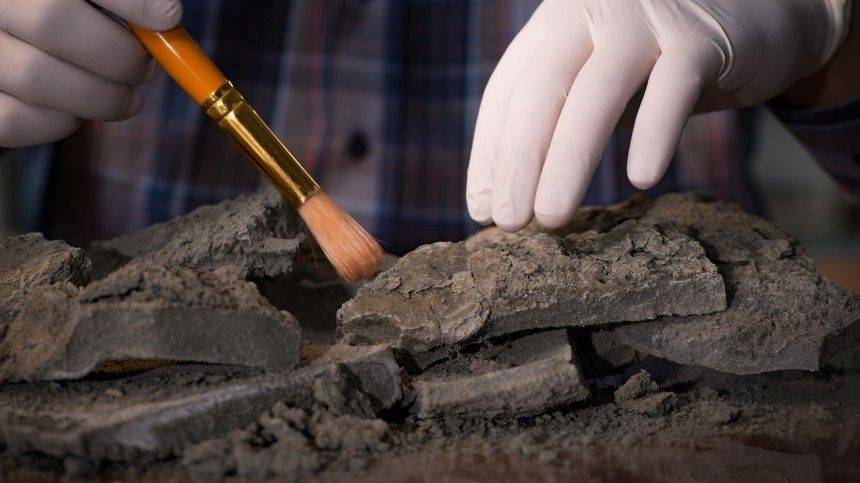 Ученые обнаружили уникальные скелеты ихтиозавров в Ульяновской области