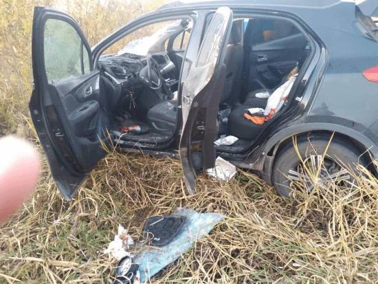 В Башкирии иномарка сбила лося и опрокинулась в кювет: пострадал водитель