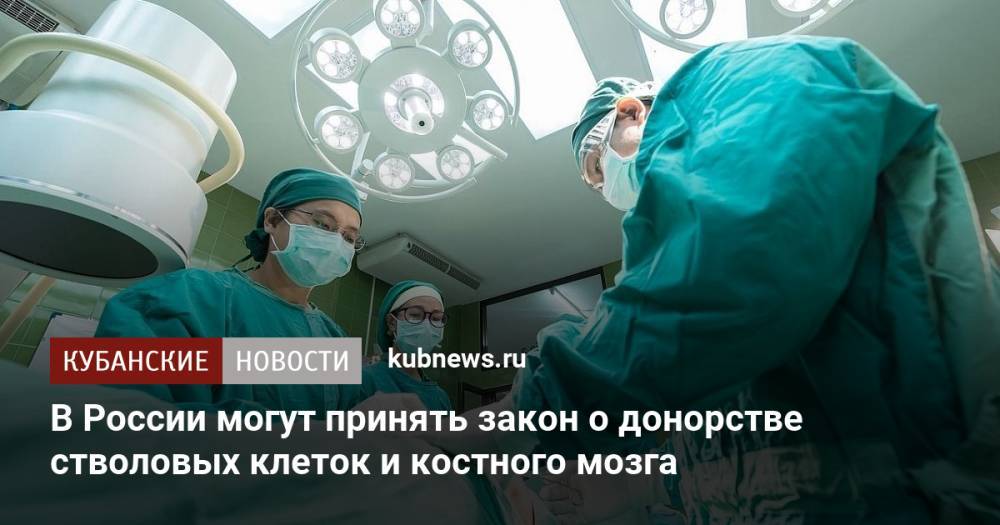 В России могут принять закон о донорстве стволовых клеток и костного мозга