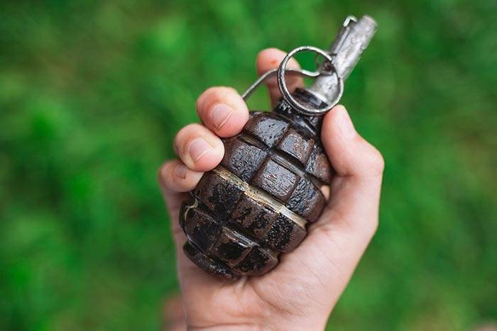 В лесу возле Требура найдены боевые ручные гранаты