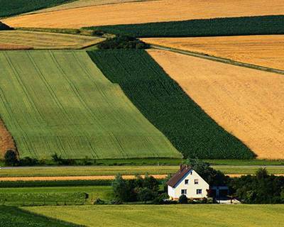 Земли сельскохозяйственного назначения: правовой режим и особенности их использования
