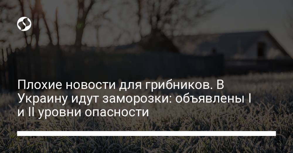 Плохие новости для грибников. В Украину идут заморозки: объявлены I и II уровни опасности