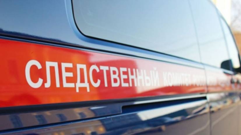 В Крыму СК возбудил дело после травмирования ребёнка в парке львов «Тайган»