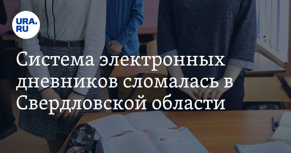Система электронных дневников сломалась в Свердловской области. «Нет ни оценок, ни заданий»