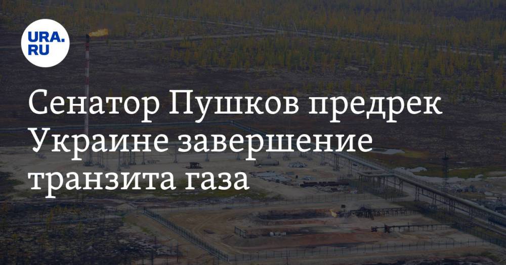 Сенатор Пушков предрек Украине завершение транзита газа