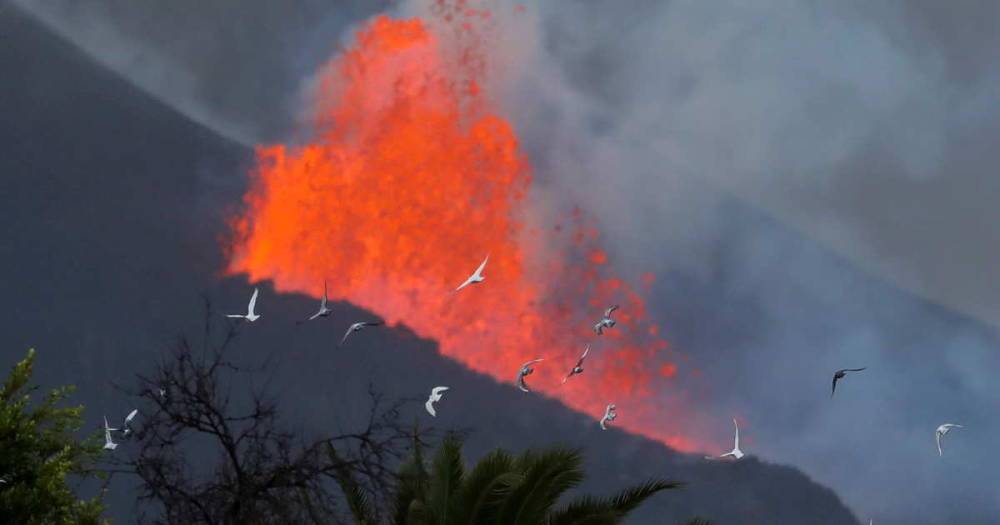 Вулканолог назвал главную опасность после извержения на острове Пальма